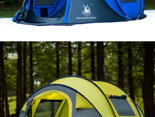 湯河店 自動帳篷新款3 4人速開拋帳野營戶外用品